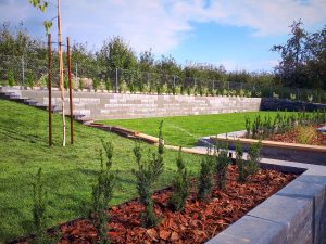 Projektowanie, pielęgnacja i zakładanie ogrodów Tarnobrzeg, Sandomierz